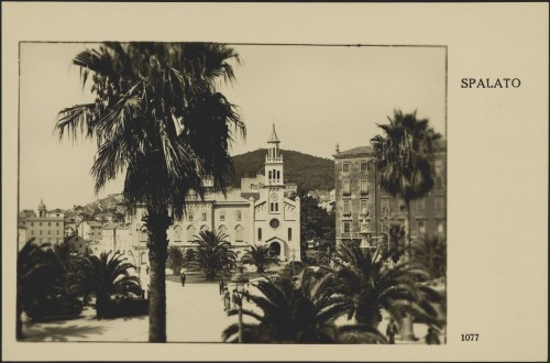 Spalato : [Riva, palme, crkva sv. Frane]