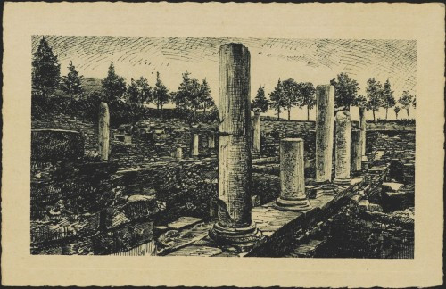 Solin - Salona : Basilica martyrum