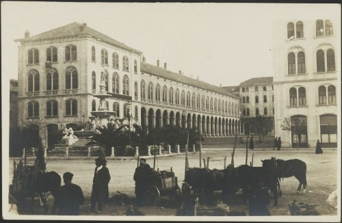 Split - Belevue