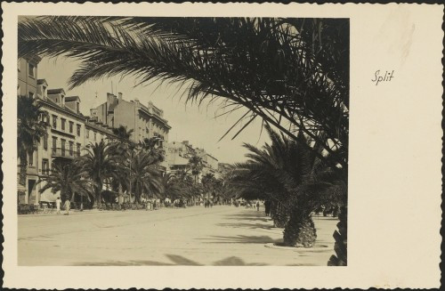 Split : [Riva i palme]