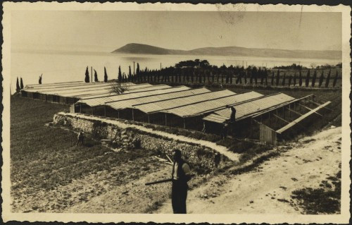 Split : [staklenici na Mejama]