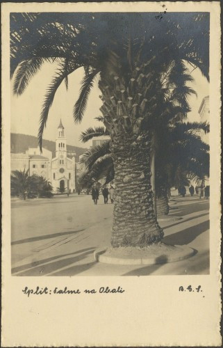 Split : Palme na obali