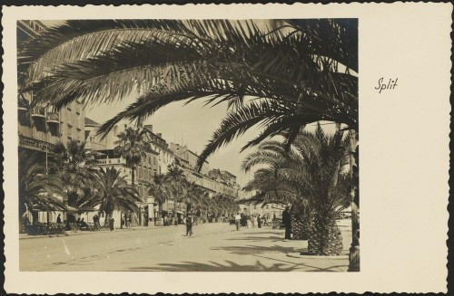 Split : [Riva, palme, šetači]