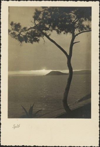 Split : [Pogled na Čiovo sa Sustipana]