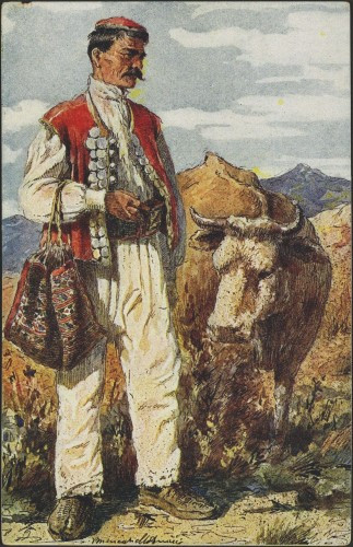 [Muškarac u narodnoj nošnji sa zobnicom i čalmom]
