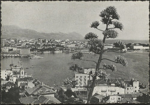 [Split]